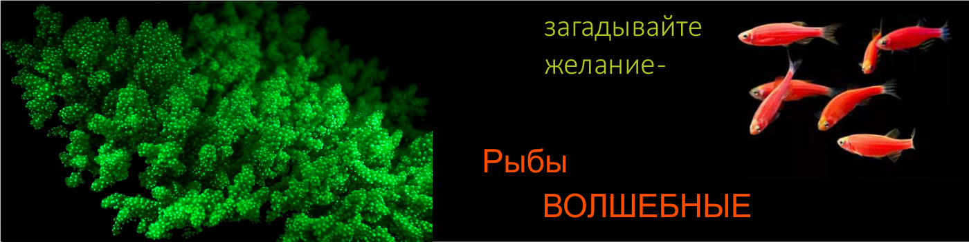 Зеленый — значит живой!